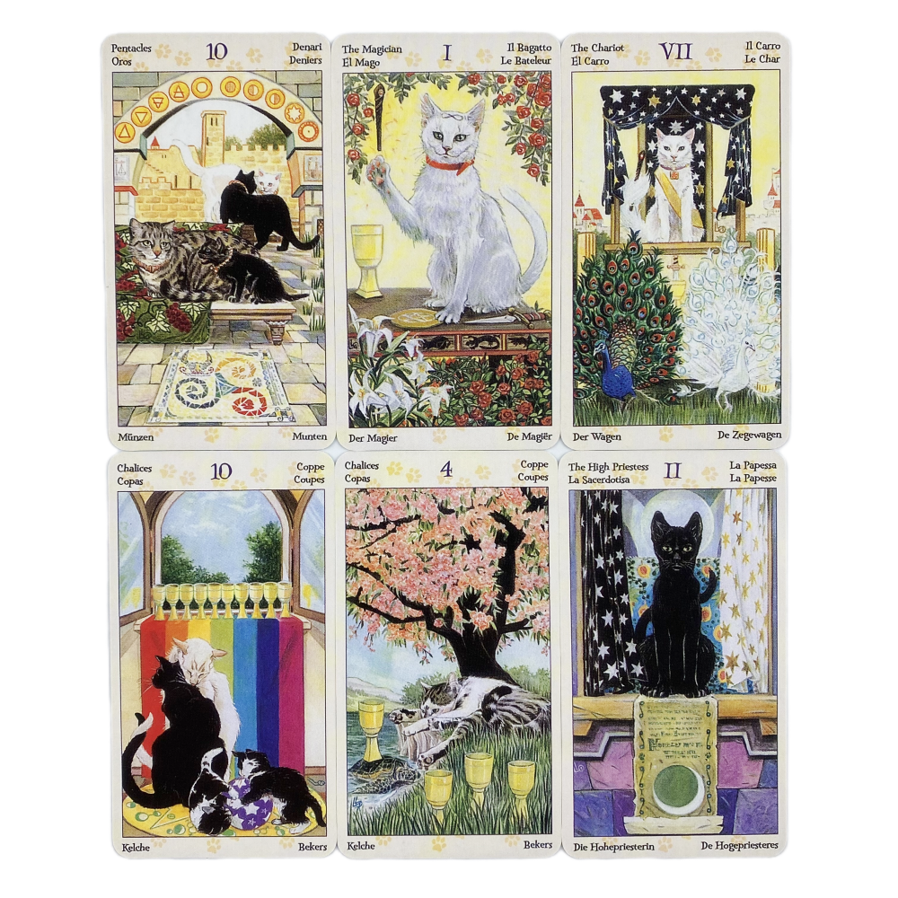78 Cards Deck Tarot Of Pagan C - Board Game Of Life reseña y precio